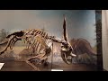 Royal Tyrrell Museum of Paleontology Virtual Tour | Drumheller Alberta [4K]