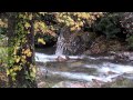 Great Smoky Mountains National Park Autumn 2014