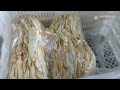 Amazing Cod Mass Production Process！Tasty Cod Factory！