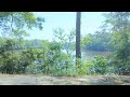 Seat With A View  -  Waccamaw National Wildlife Refuge Georgetown