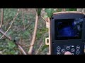 Quick trail cam video, part 1,  Urban Fox