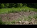 My 1st Garden in a long time and a shouter to Buckrun11 part 1