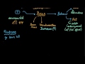 Schizophrenia | Behavior | MCAT | Khan Academy