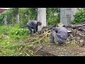 😱 Transformation Shock Overgrown garden Cleaning up abandoned house [Cleanup Overgrown]