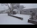 Snow   1st Mar 2018