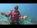 Spider having fun underwater- 7.24.24 Bonaire