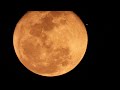 Super Moon 1st September captured in Townsville