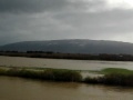 Flooding In Dunedin