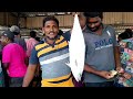 Fish market in Sri lanka || Negombo Lellama , මීගමු ලෙල්ලම 🔥😱