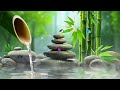 Soothing Relaxation Music, Relaxing Piano Music, Sleep Music, Water Sounds, Spa Music, Meditation
