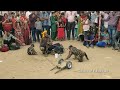 बंदर का खेल... पुष्कर मेला में। Monkey Drama🐒। Bandar bandariya ka khel, Famous Video