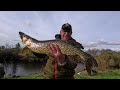 River Wharfe pike dead bait