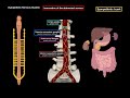 Sympathetic Nervous System (EASY SCHEME)