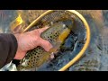 Tips for Successful Fall Fly Fishing