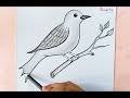 Bird drawing|| Simple bird drawing|| pencil shading drawing|| How to draw bird🐦