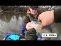 LIMIT X2‼️ 50 CREEK CRAPPIE Caught With LETHAL Double Jig Rig‼️