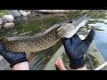 NORTHERN PIKE CAUGHT IN KAYAK!