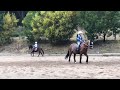 Kids on Horses