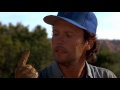 City Slickers One Thing - The Secret of Life - Full HD