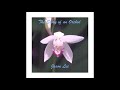 The Story of an Orchid - Jason Lankford