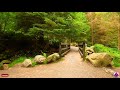 Virtual Running videos for treadmill 4K | Virtual mountain run | Virtual jogging scenery 4K