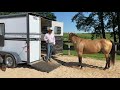 Horse Won't Load After Injury in the Trailer