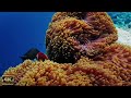 Ocean 4K - Scenic Relaxation Film / Comprehensive Relaxing Guitar Music Soothes Your Heart