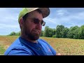 Beautiful Days, Meaningful Work | Homestead Vlog | June 7, 2024