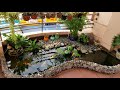 The beautiful mini koi fish pond in the balcony | Hồ cá chép Nhật nhỏ tuyệt đẹp trên ban công.