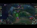 fiora is balanced