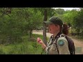 PBS Show - Watching Wildlife, Preservation Partners & Guadalupe River