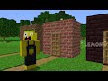 How do I OPEN 10000 DOORS in Minecraft ? NEW SECRET PASSAGE BEHIND THE DOOR !