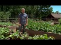 Learn the Benefits of Gardening in Raised Beds