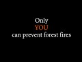 Forest Fire Commercial