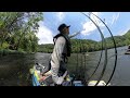 Hobie BOS 2023: New River Tournament Recap | PB Smallmouth Bass and a Bear | Kayak Fishing Day 1!