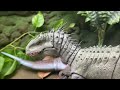 Spinosaurus vs Indominus Rex! STOP MOTION