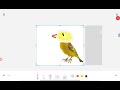 lemon bird - Music