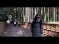 Japan travel 2024 || walk in Bamboo Forest Arashiyama ( 岚山竹林 ) Kyoto Japan