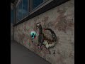 Ferret Dragon in Kingspray VR