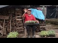 El agricultor de Guatemala