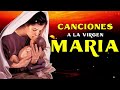 Intenta Escuchar Esta Canción sin Llorar | La Canción de la Virgen María Más Hermosa del Mundo 2024