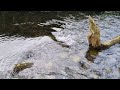 Fantastic LANDSCAPE Photography in the Lake District.