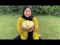 Panen buah-buahan dikebun | Bikin salad buah segar