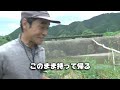 巨大うなぎ！？天然ウナギを求めて筒を仕掛けると…