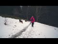 Hiking with my Belgian Shepherd Dog