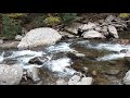 Smoky Mountains Park stream