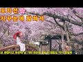 🍀포지션❣️자꾸 눈에 밟혀서(가사첨부) 아름다운 봄날 되세요 🌹🌺🌻🌼