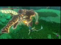 Breath of the Wild: Trial of the Sword - The Beginning Trials (No Commentary)