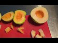 Melon harvest