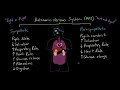 Autonomic nervous system (ANS) and physiologic markers of emotion | MCAT | Khan Academy